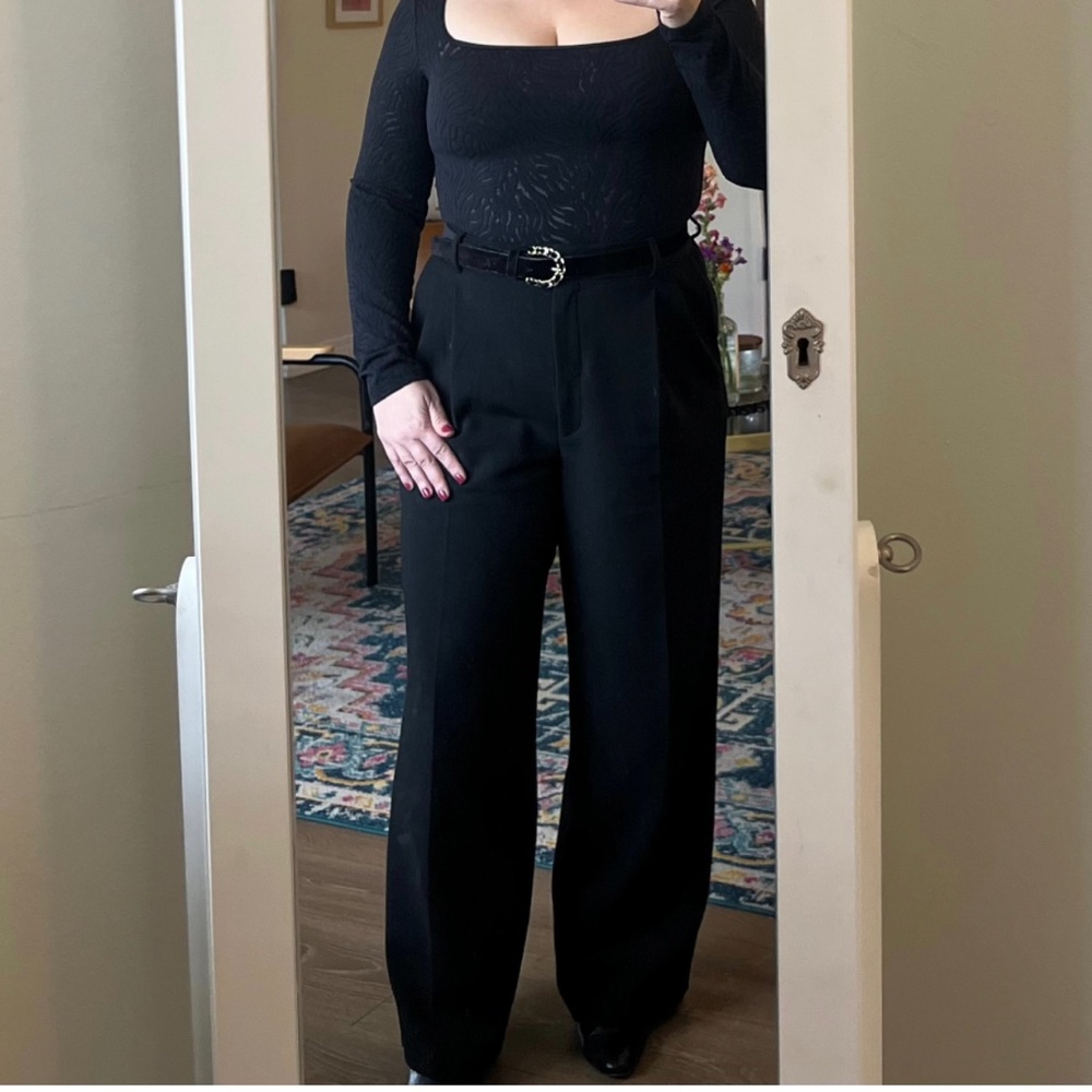 Aritzia Babaton Black Wide-Leg Women's Pants